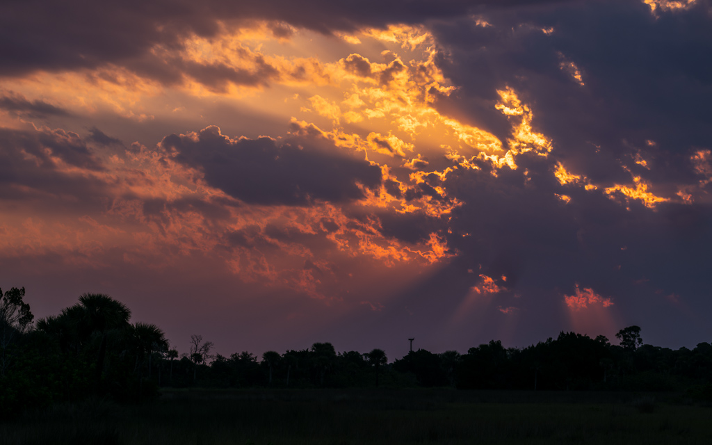 DZ9_6882-NEF_DxO_DeepPRIME-Edit-Edit-Edit.jpg DZ9 6882 NEF DxO DeepPRIME Edit Edit Edit