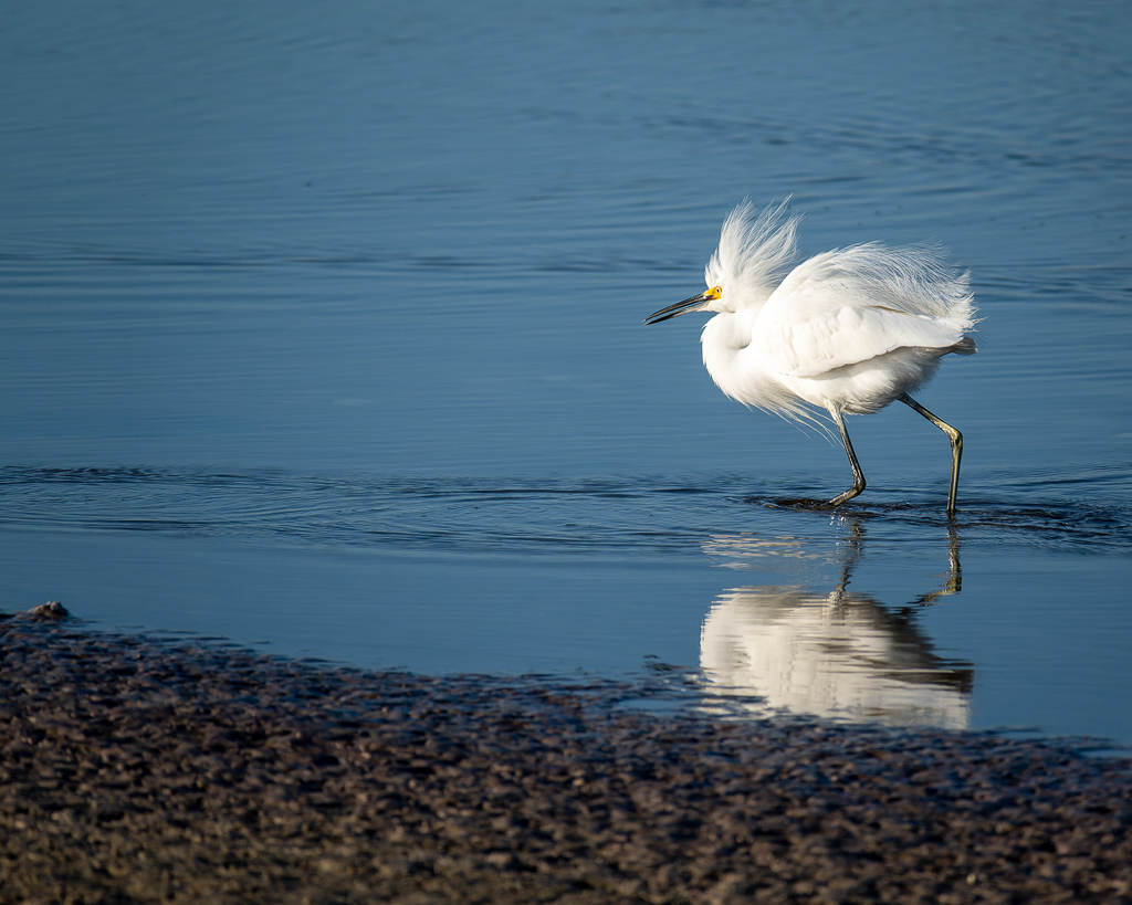 Z50 2314 NEF DxO DeepPRIME