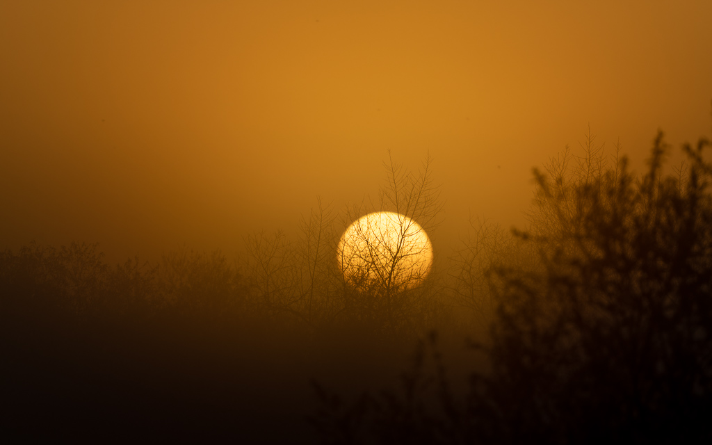 Z72 1860 NEF DxO DeepPRIME