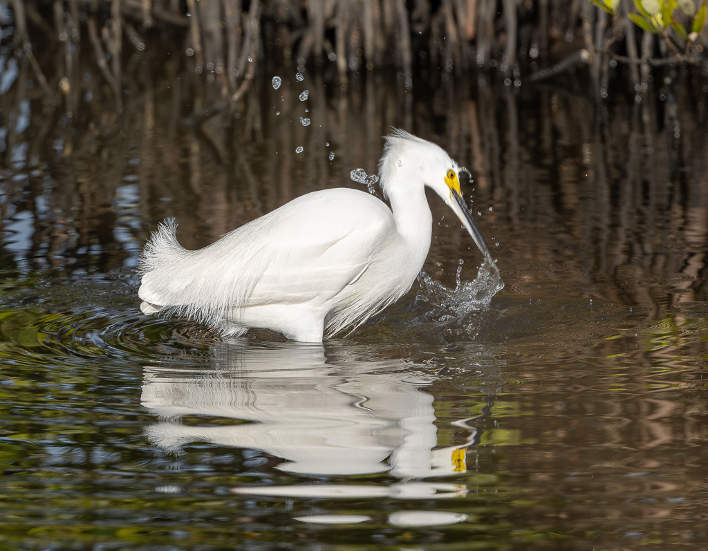 Z72 2406 NEF DxO DeepPRIME Edit