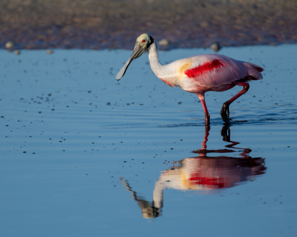 Z72 3196 NEF DxO DeepPRIME