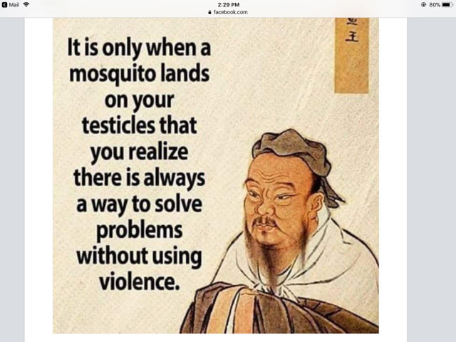 SolutionsWithoutViolence