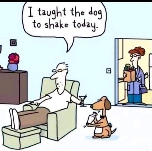 DogShake
