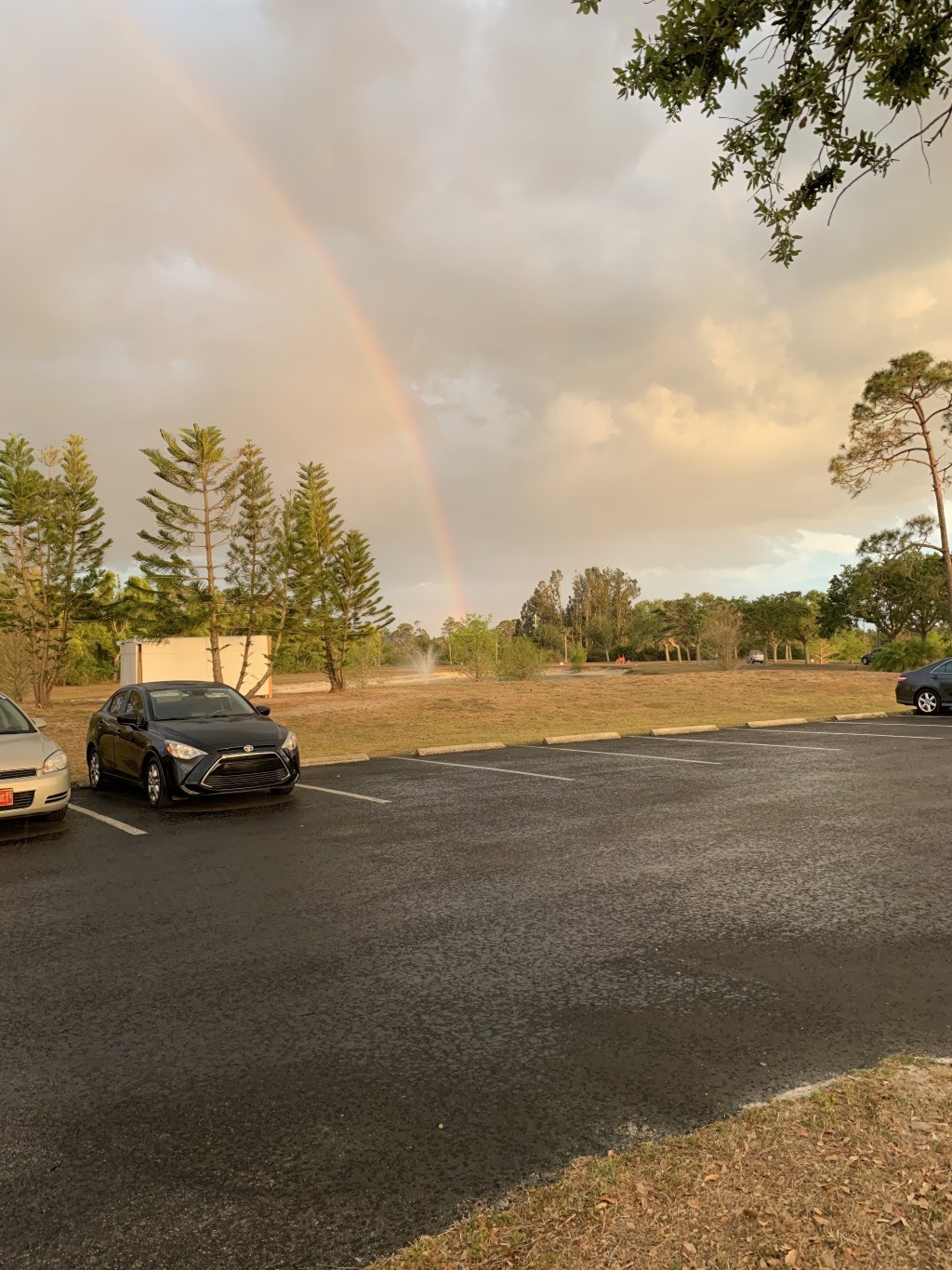 IMG 3468 topaz denoise enhance sharpen