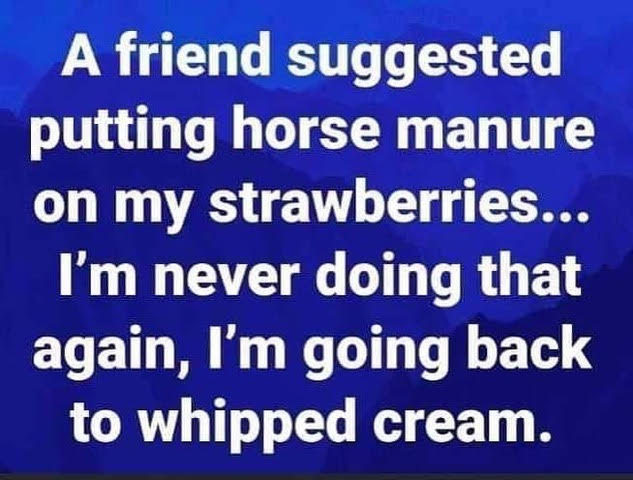 ManureOnStrawberries