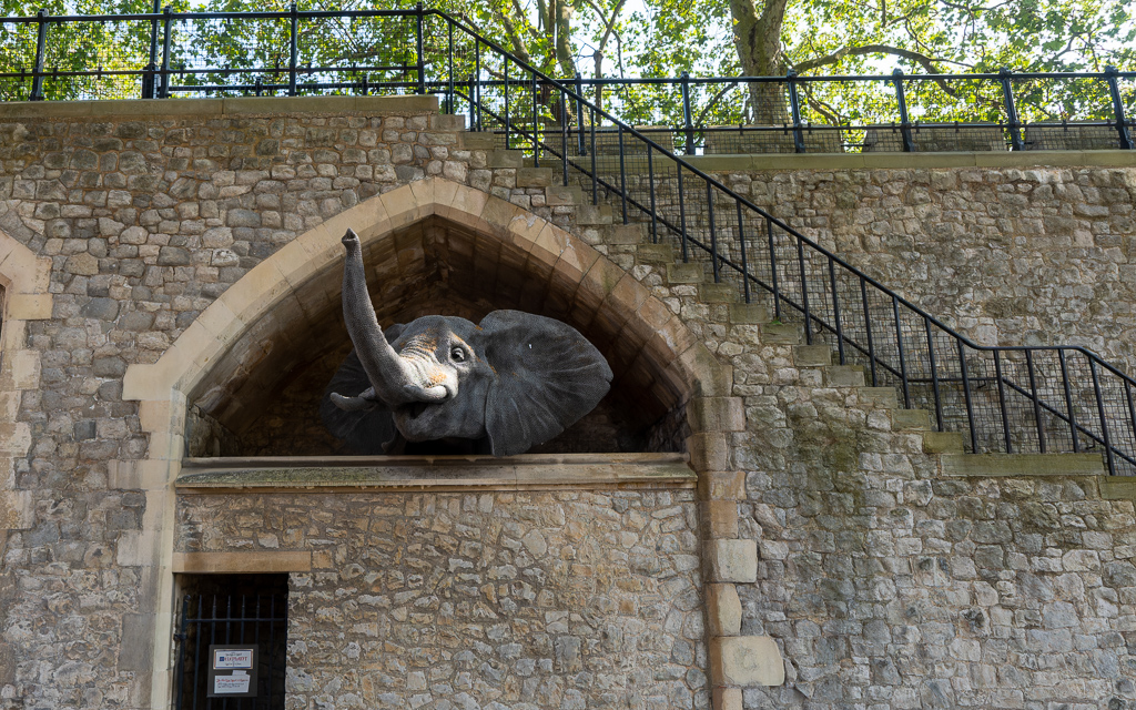 London 2 5018 NEF DxO DeepPRIMEXD