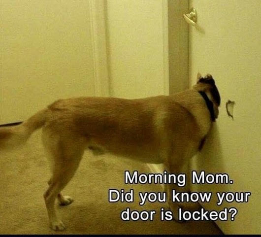 DoorIsLocked