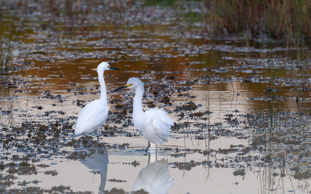 20231011 DayKidsDelMarVA Z8 1356 Enhanced NR