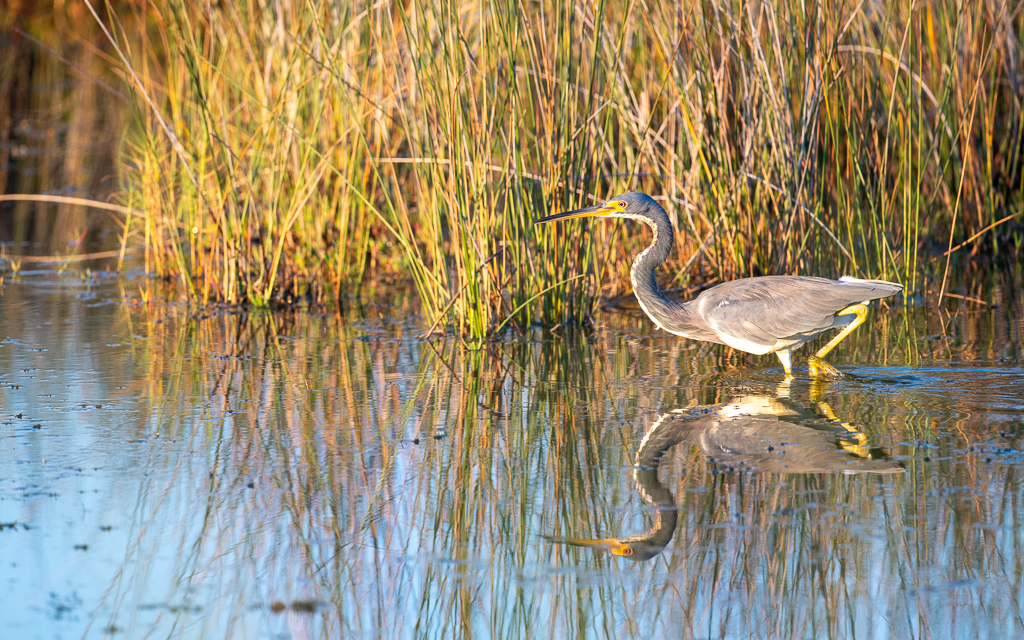 20231011 DayKidsDelMarVA Z8 1396