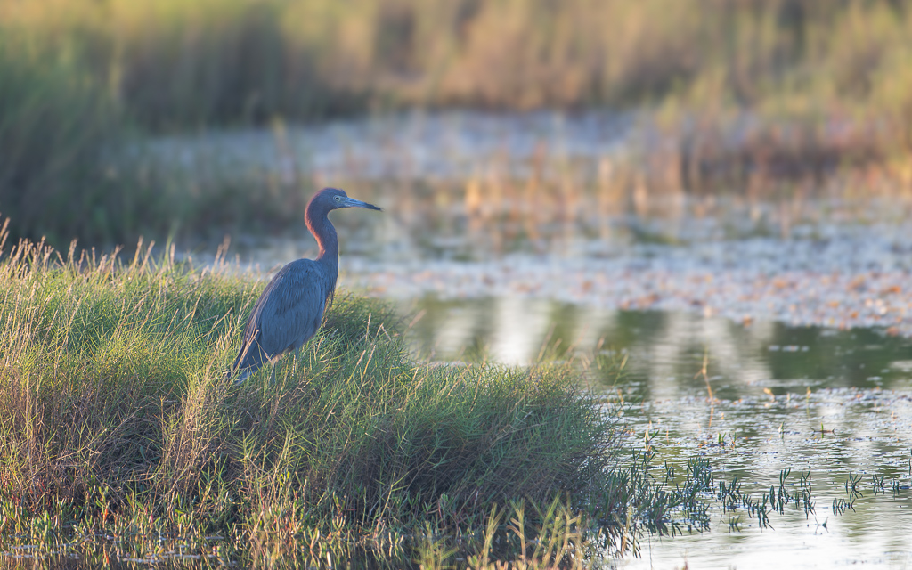 20231011 DayKidsDelMarVA Z8 1417 Enhanced NR