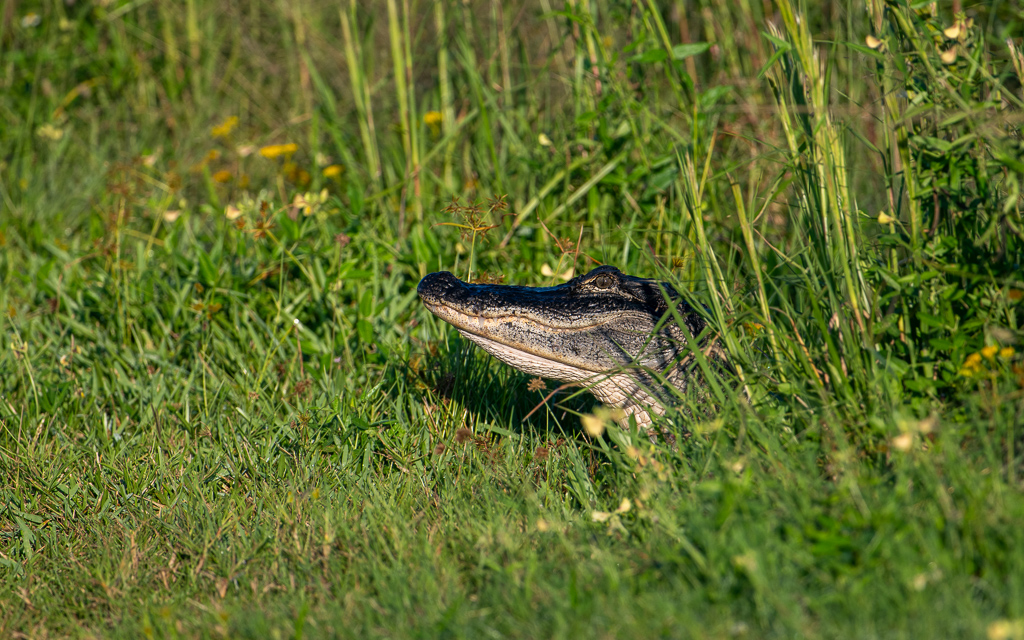 20231011 DayKidsDelMarVA Z8 1447