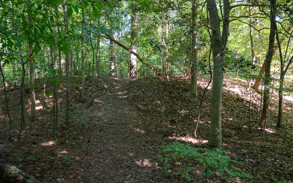 20231011 DayKidsDelMarVA Z8 1559