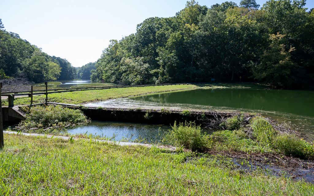 20231011 DayKidsDelMarVA Z8 1573