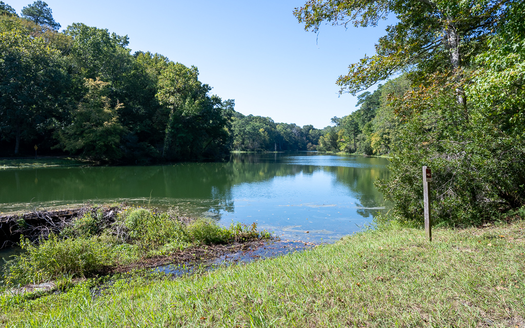 20231011 DayKidsDelMarVA Z8 1574