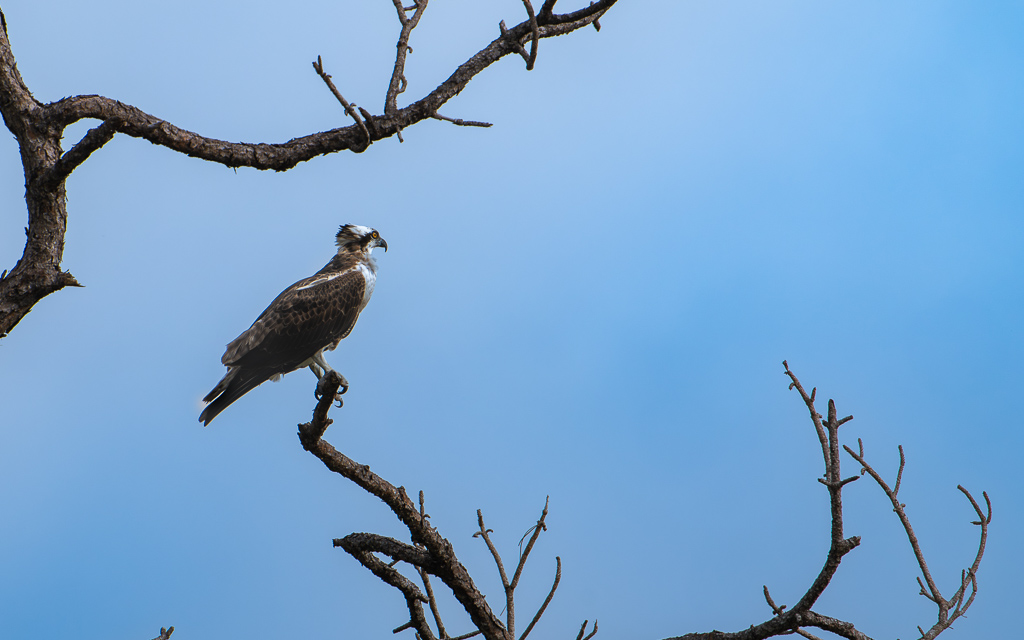 20231017 LPR Z8 1622 Enhanced NR