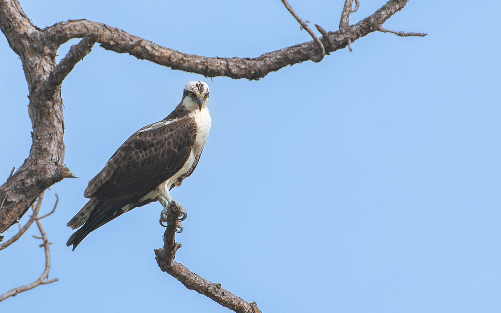 20231017 LPR Z8 1625