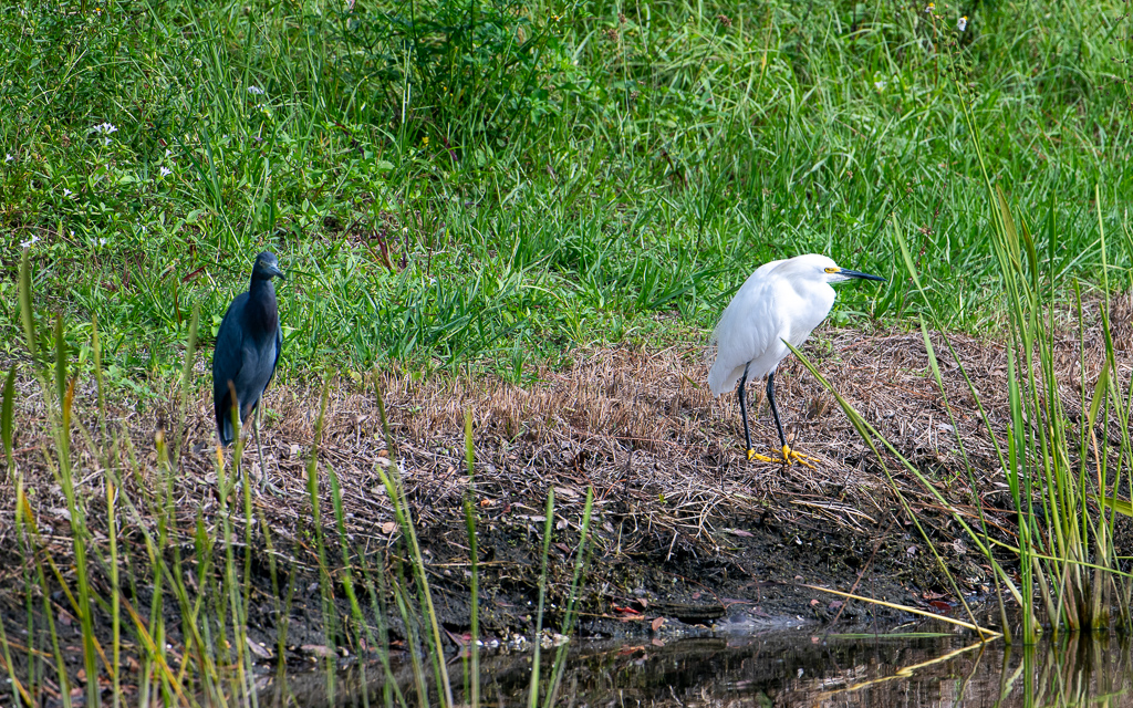 20231017 LPR Z8 1630