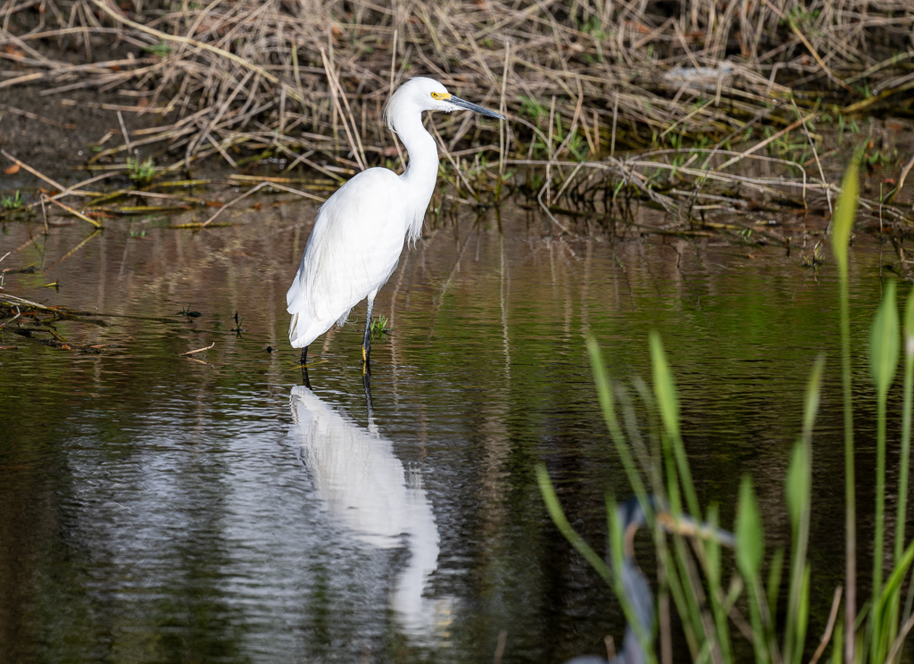 20231116 LPR Z9 1939