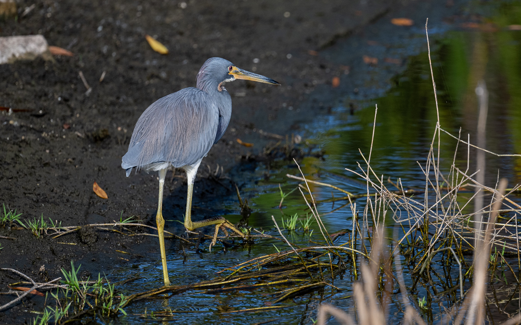 20231116 LPR Z9 1969