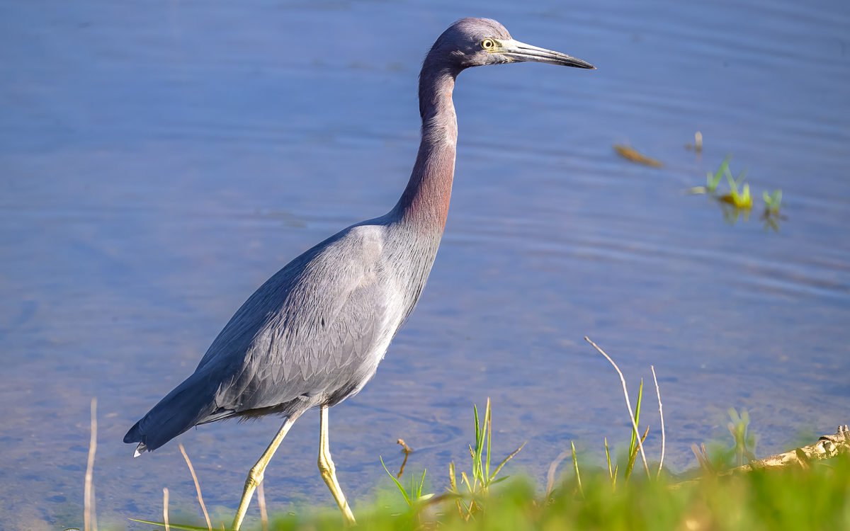 20231116 LPR Z9 2041 2