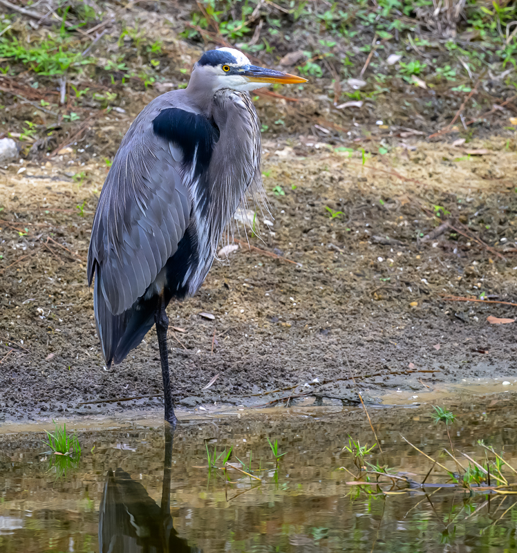 20231116 LPR Z9 2054 2