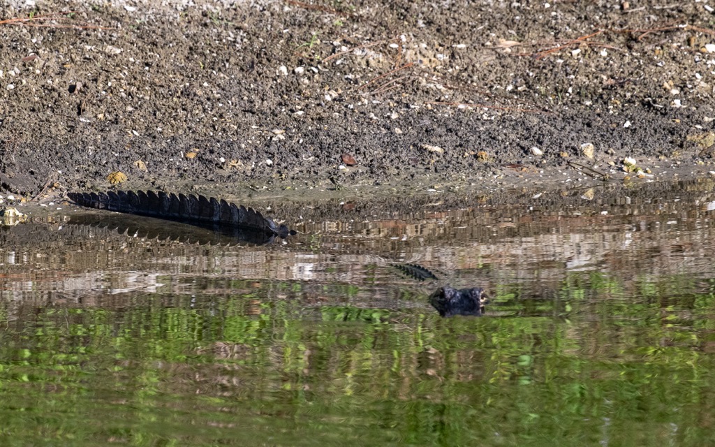 20231127 LPR Z9 2073