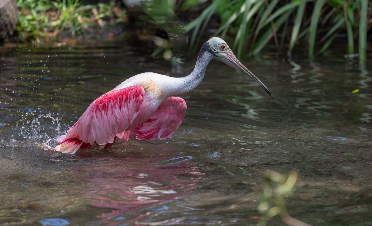 20240309-20240309_Black Point_Z8_9842-NEF.