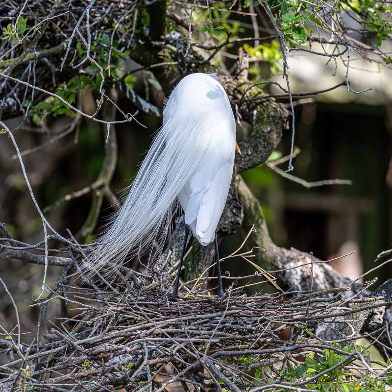 20240309-20240309_Black Point_Z8_9855-NEF.