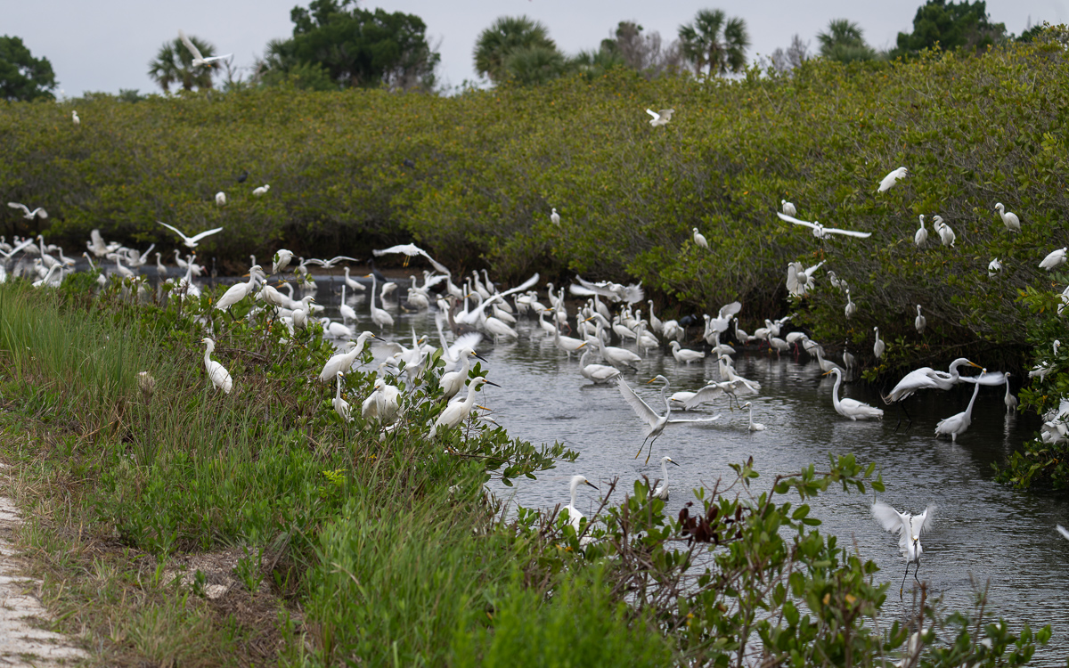 20240309-20240309_Black Point_Z9_3800-NEF.