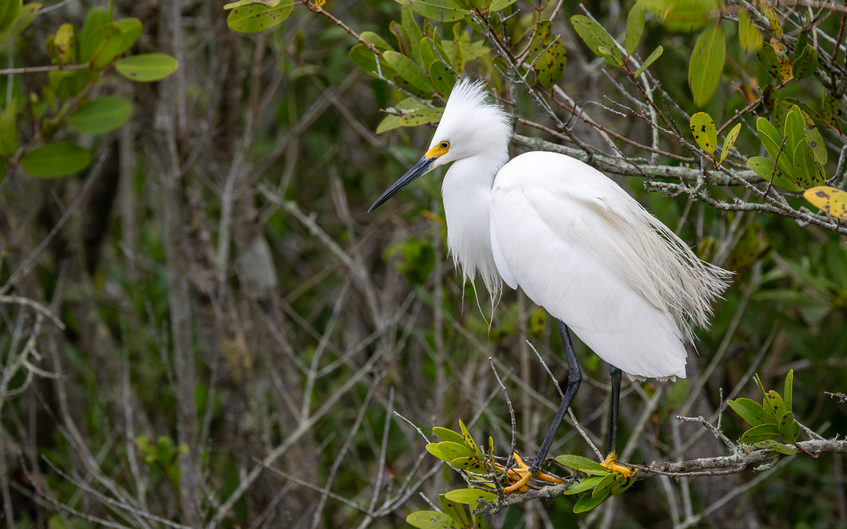 20240309-20240309_Black Point_Z9_3814-NEF.