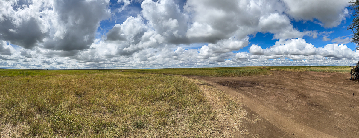 20240401 Serengetti iPhone 4704.