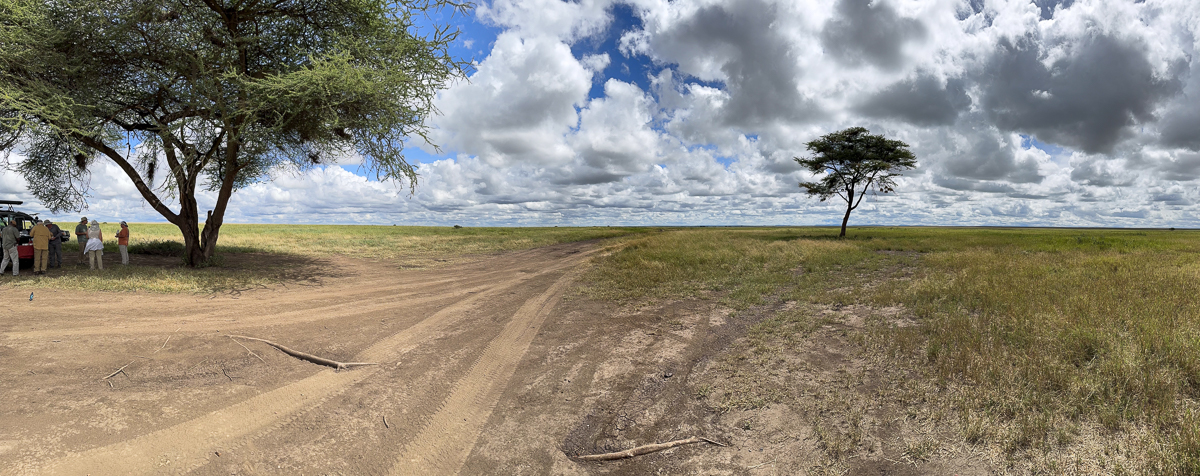 20240401 Serengetti iPhone 4705.