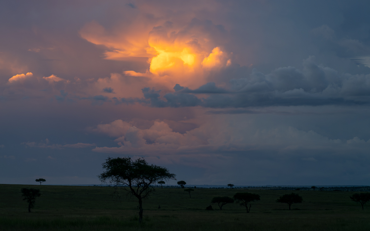 20240401 Serengetti Z9 5792 NEF 20240402 DxO_DeepPRIMEXD2.