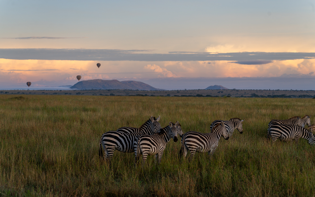 20240401 Serengetti Z9 5844 NEF DxO_DeepPRIMEXD2.