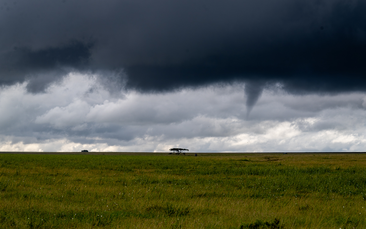 20240401 Serengetti Z9 7683 NEF DxO_DeepPRIMEXD2.