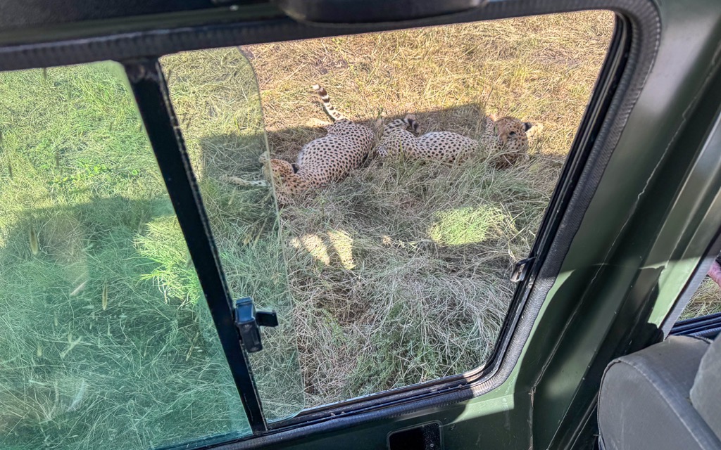 20240401 Serengetti iPhone 4744.