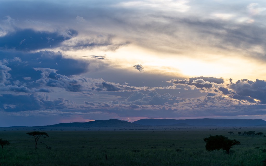 20240401-Serengetti-Z8-0279-NEF-DxO_DeepPRIME XD2.