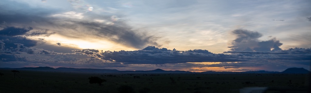 20240401 Serengetti Z8 0310 Pano.