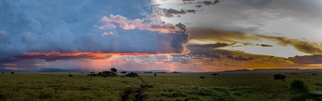 20240401 Serengetti Z8 0450 Pano Edit.