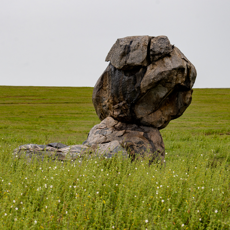 20240401 Serengetti Z9 7694 NEF DxO_DeepPRIMEXD2.