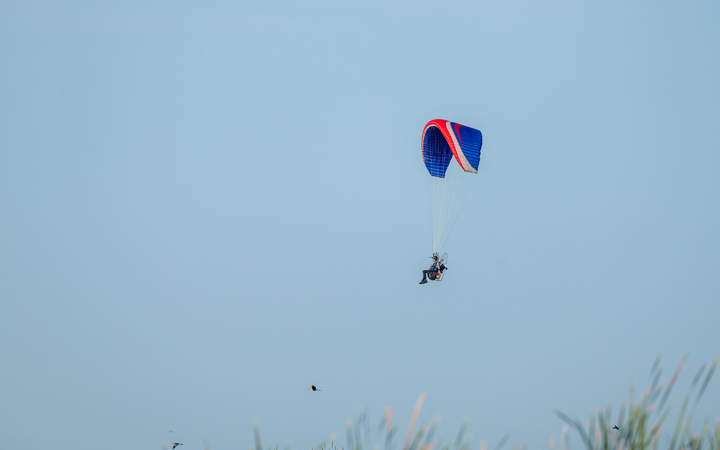 20240524_Apopka_Z8A_5282 NEF DxO XD2.