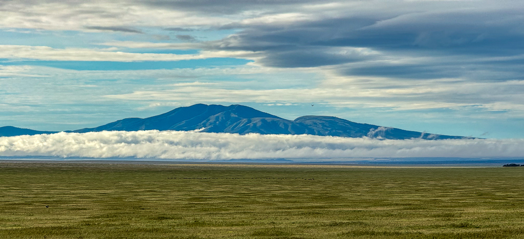 20240401 Serengetti iPhone 4784.