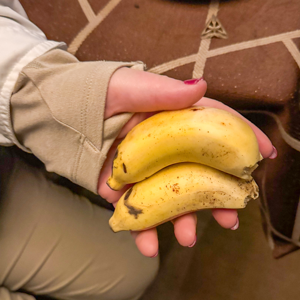 20240401 Serengetti iPhone 4800.