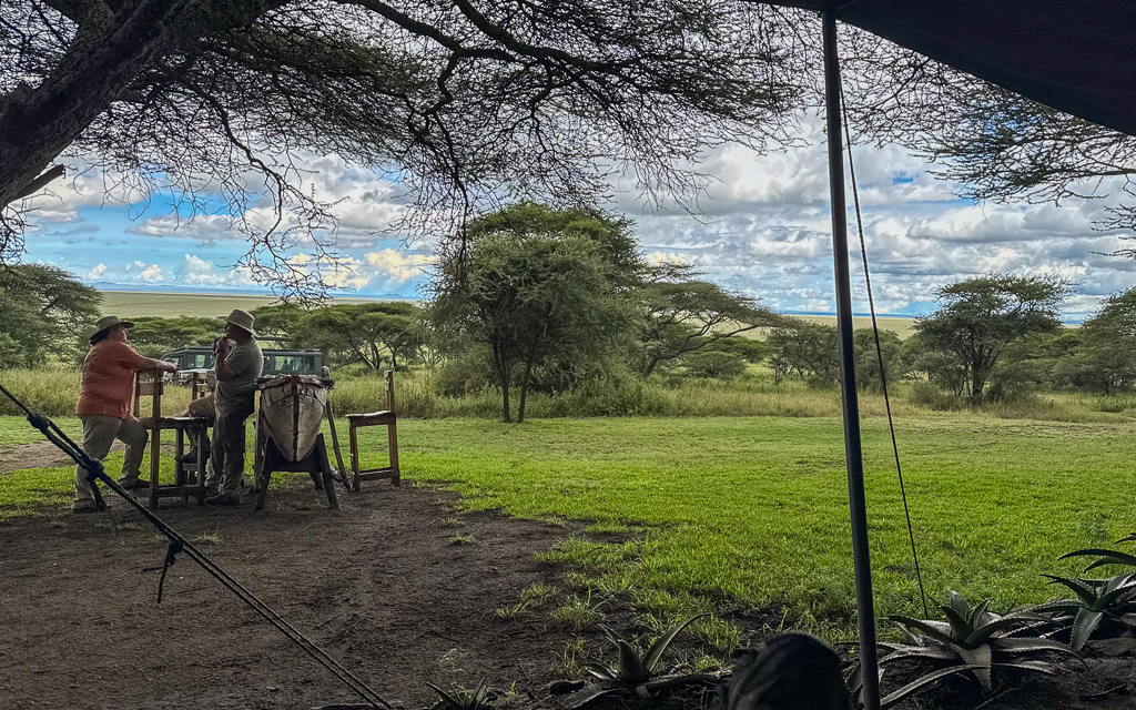 20240401 Serengetti iPhone 4804.