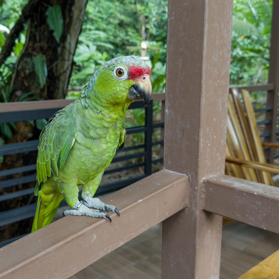 20240706_CR_iPhone 15_5109-2.