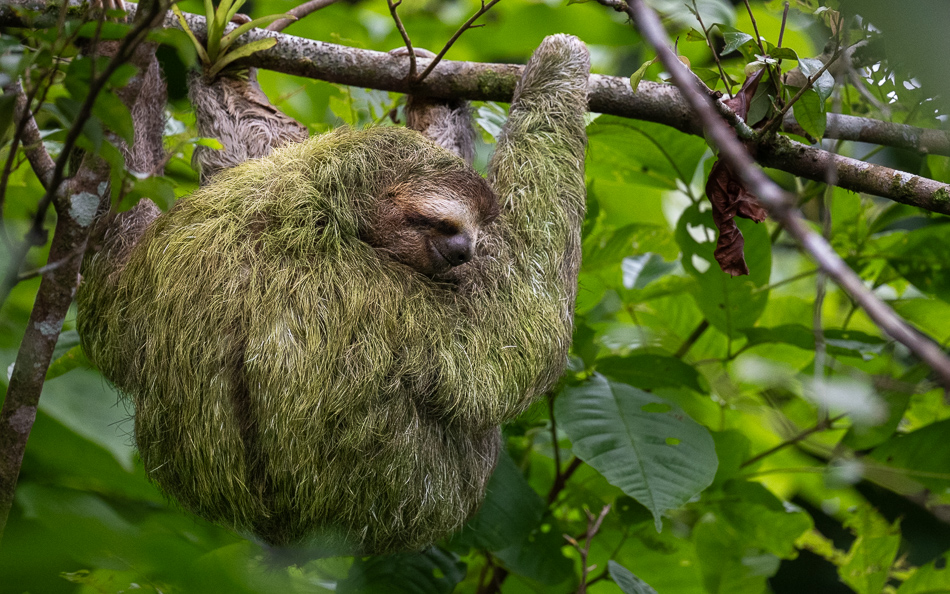 20240706 CR Z8a 5541.