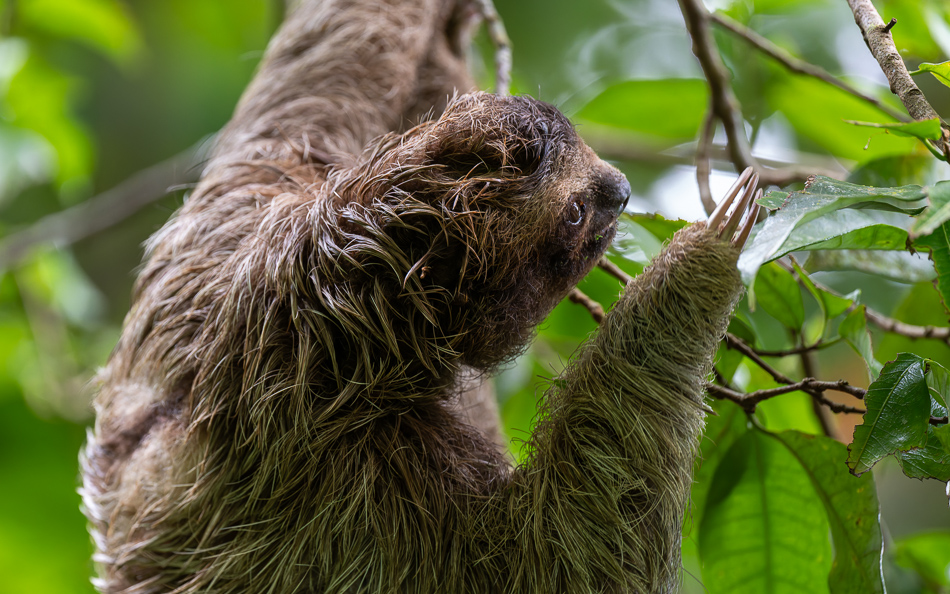 20240706_CR_Z8a_5566 NEF DxO XD2.