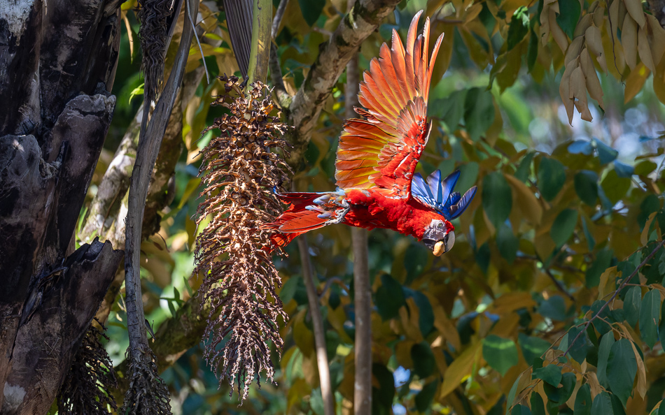 20240707_CR_Z8a_0467 NEF DxO XD2.