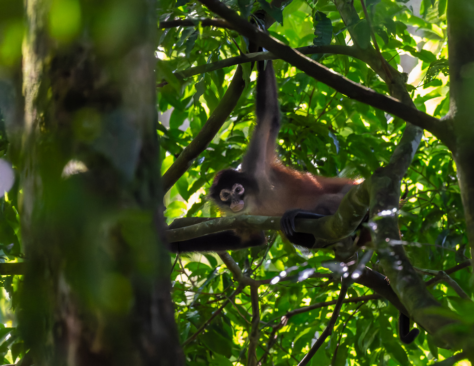 20240707_CR_Z8a_7917-NEF-DxO-XD2.jpg 20240707_CR_Z8a_7917 NEF DxO XD2.