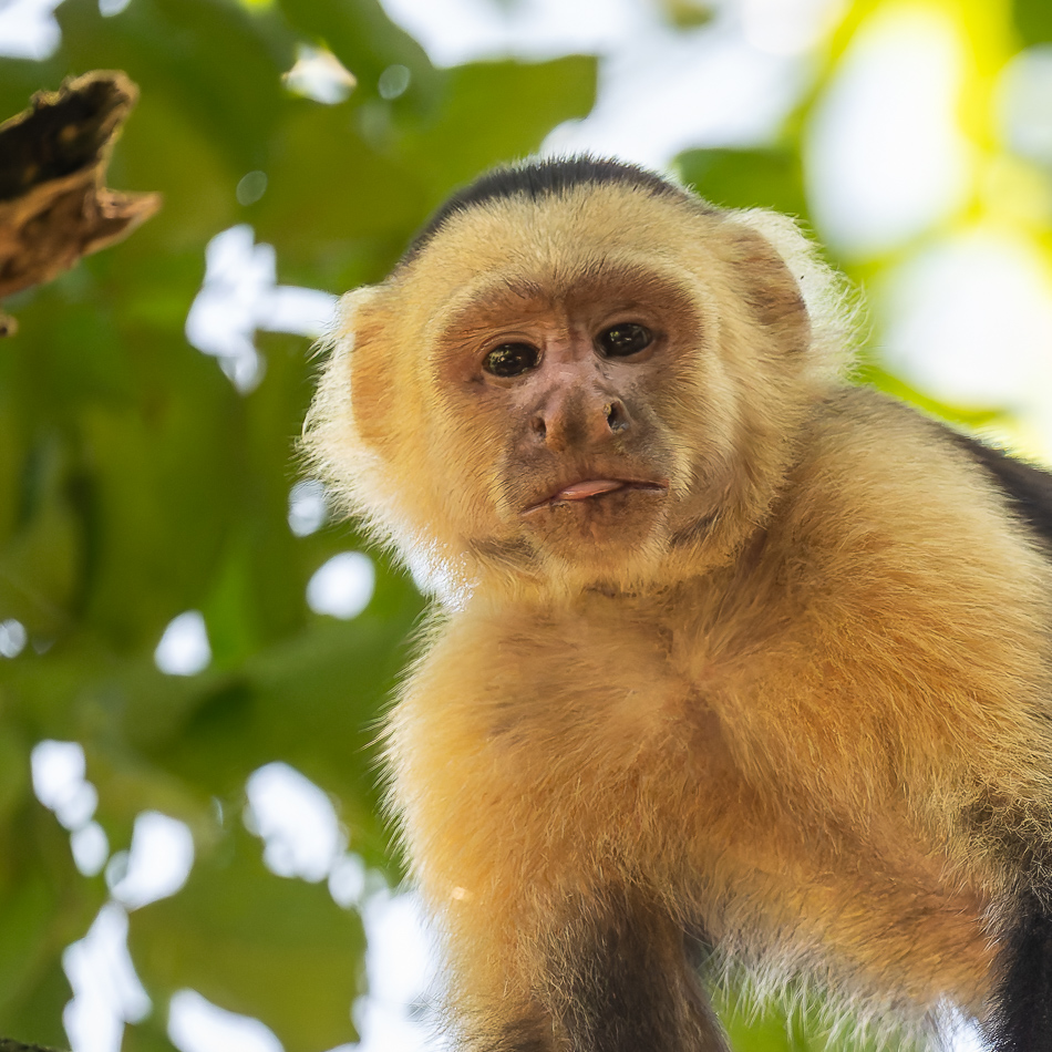 20240707_CR_Z8a_8744-NEF-DxO-XD2-2.jpg 20240707_CR_Z8a_8744 NEF DxO XD2 2.